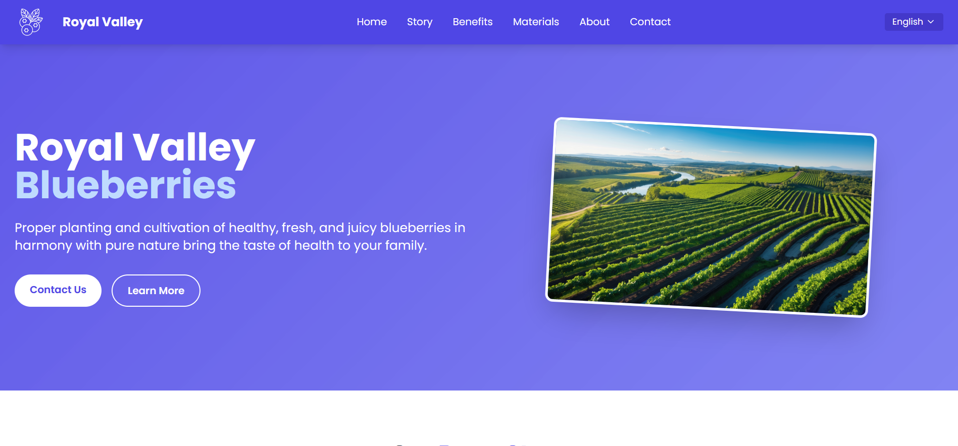 Royal Valley Blueberries